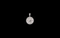 "Your Way" 925s VVS Moissanite Compass Pendant